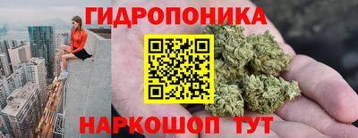 ECSTASY Боровичи