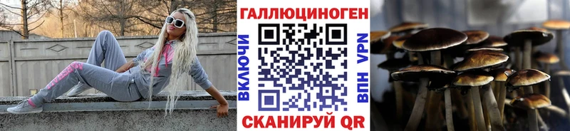 МЕГА рабочий сайт  Кондопога  Галлюциногенные грибы Psilocybe 