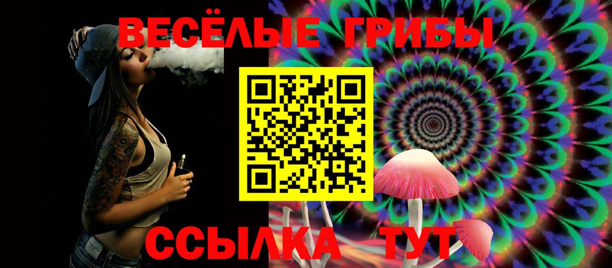 Галлюциногенные грибы MAGIC MUSHROOMS  Вход с VPN  Кондопога 